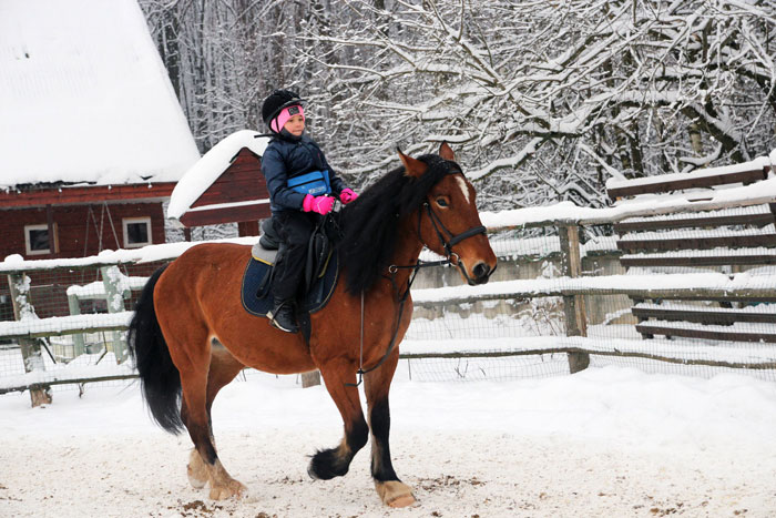 Досвідчені вершники займаються на спортивних конях, беруть участь в змаганнях і заробляють розряди з кінного спорту