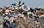 В околицях села Старореченск Жовтневого району громадянин Китаю на ділянці сільгосппризначення влаштував сміттєзвалище відходів